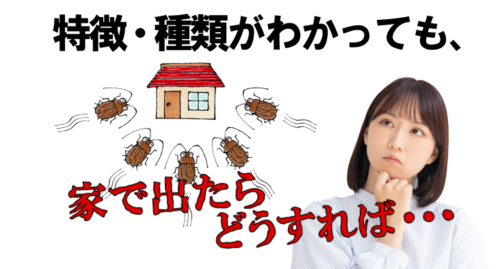 そんなこと言っても、わからないです…